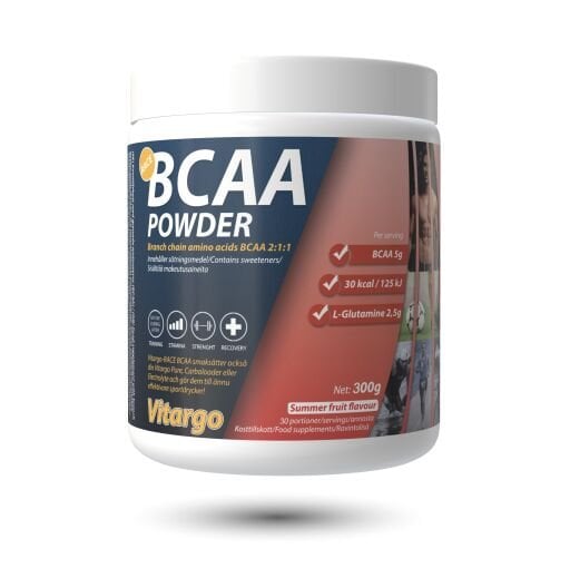 BCAA+GLUTAMINE 300 GR
